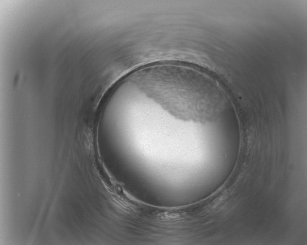 X0000058131505200509301939