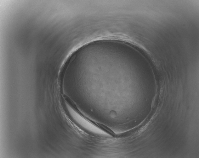 X0000058131506200509301939