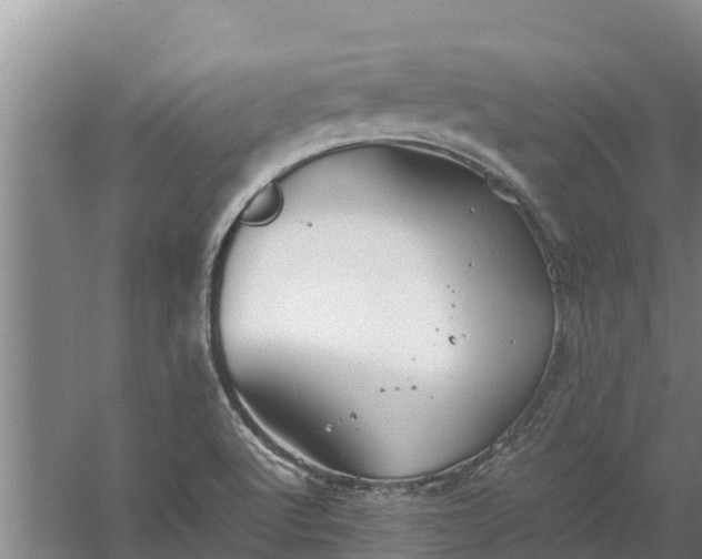 X0000058131512200509301939