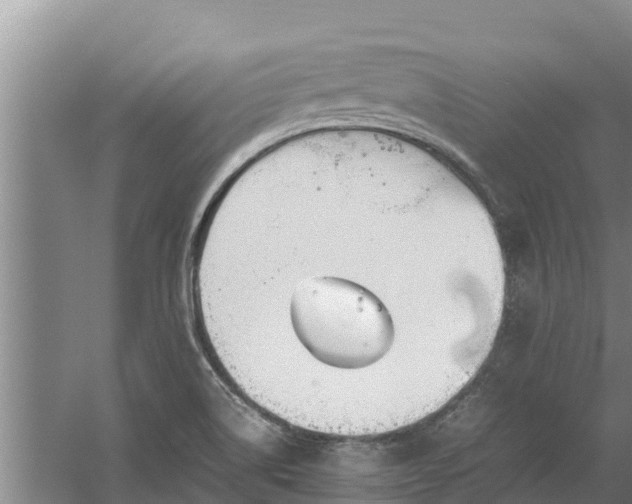 X0000058131514200509301939