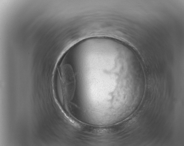 X0000058131517200509301939