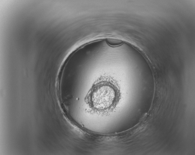 X0000058131519200509301939