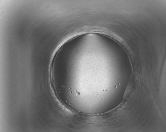 X0000058131520200509301939