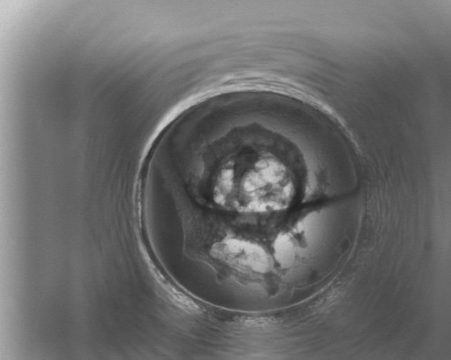 X0000058131522200509301939