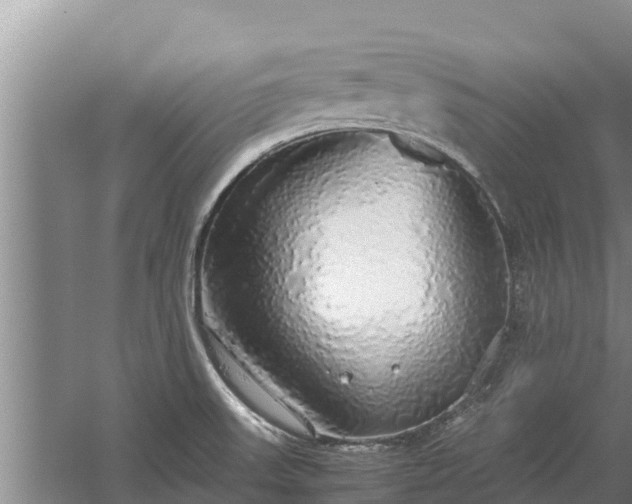 X0000058131523200509301939