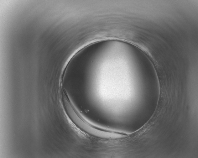 X0000058131524200509301939