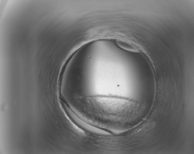 X0000058131525200509301939