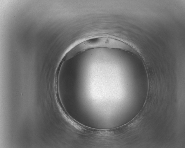 X0000058131526200509301939