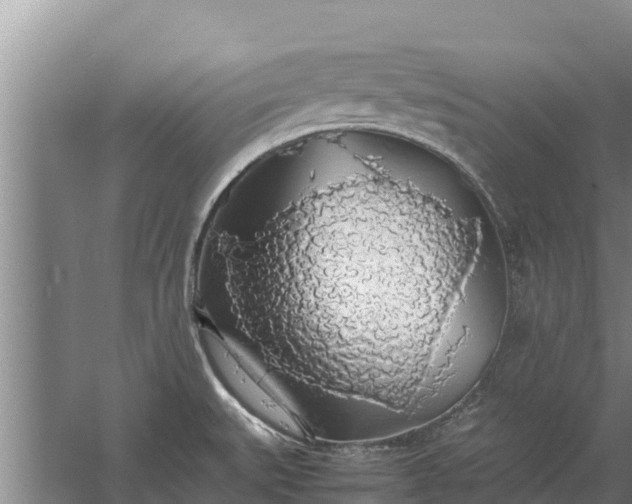 X0000058131527200509301939