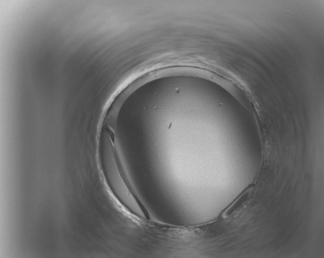 X0000058131528200509301939