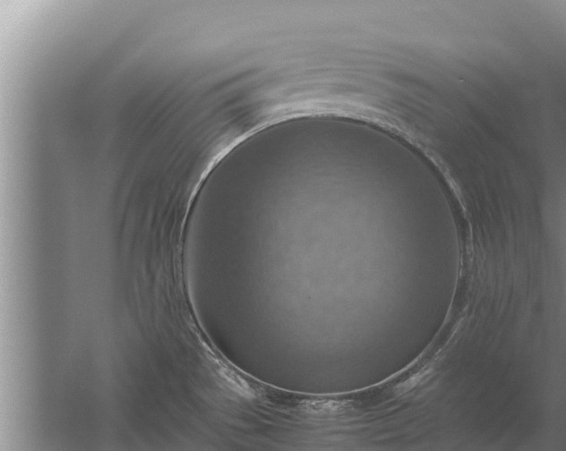 X0000058131529200509301939