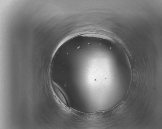 X0000058131530200509301939