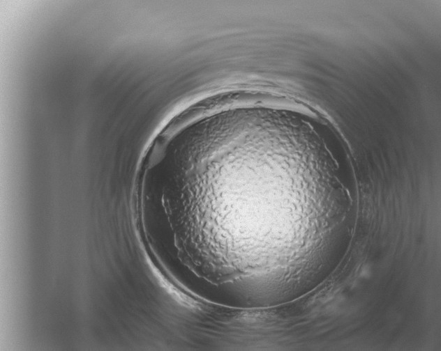 X0000058131531200509301939