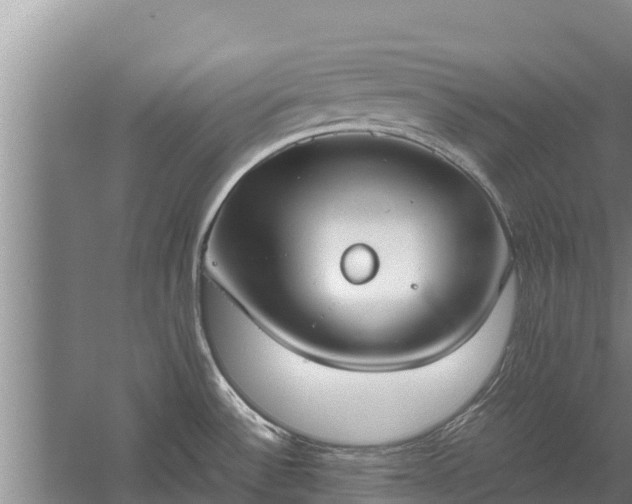 X0000058131532200509301939