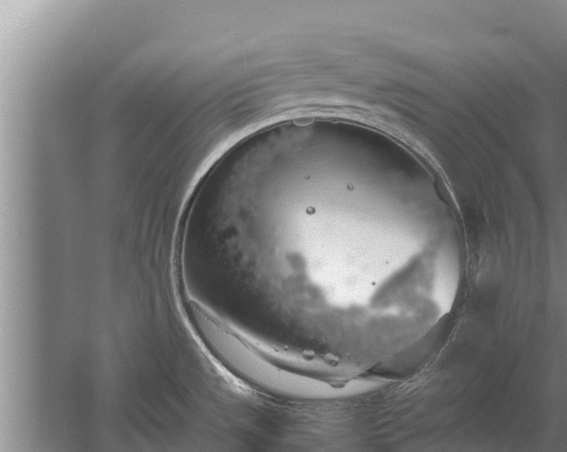 X0000058131533200509301939