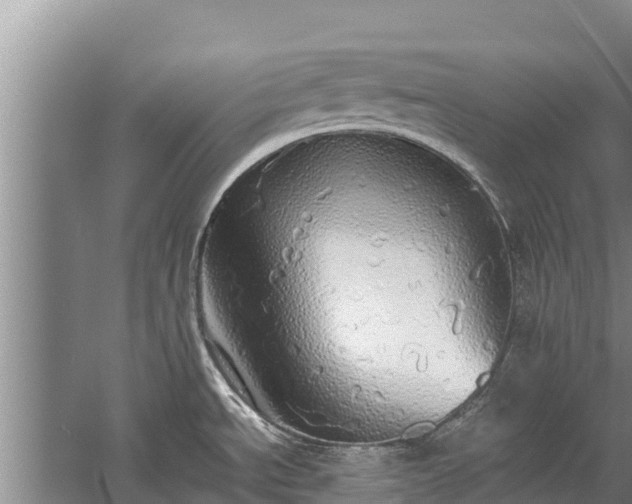 X0000058131534200509301939