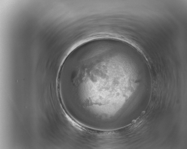 X0000058131535200509301939