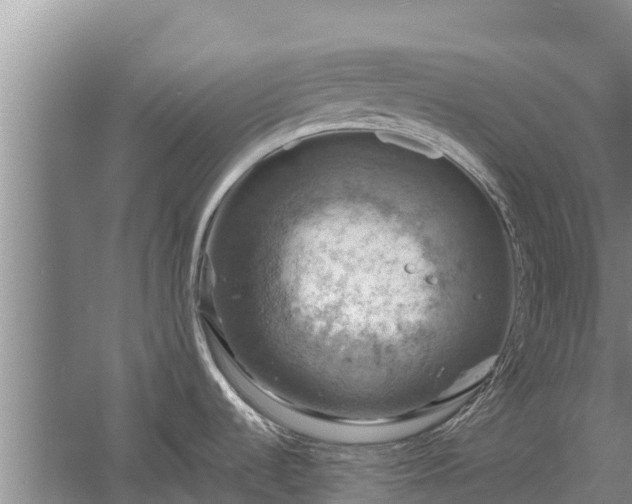 X0000058131536200509301940