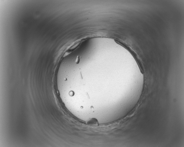 X0000058130001200510072017