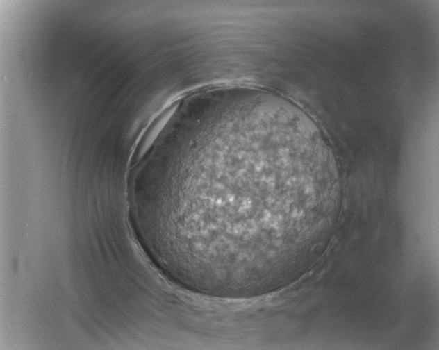 X0000058130002200510072017