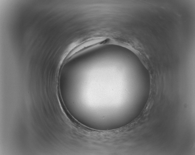 X0000058130003200510072017