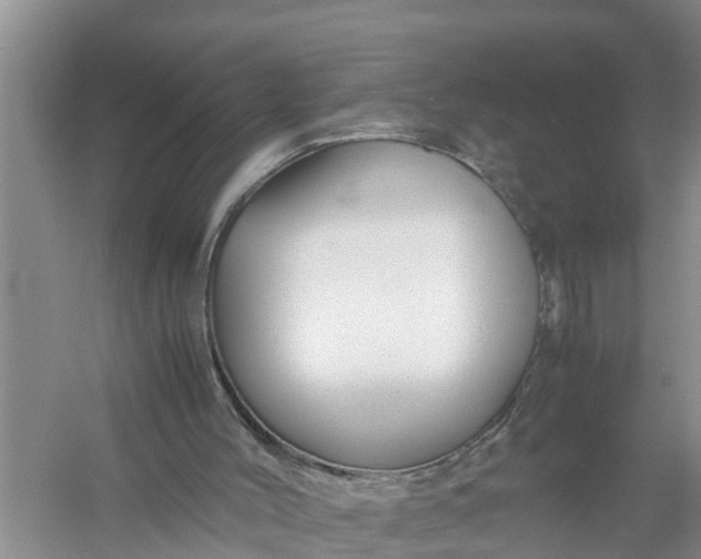 X0000058130004200510072017