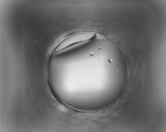 X0000058130005200510072017