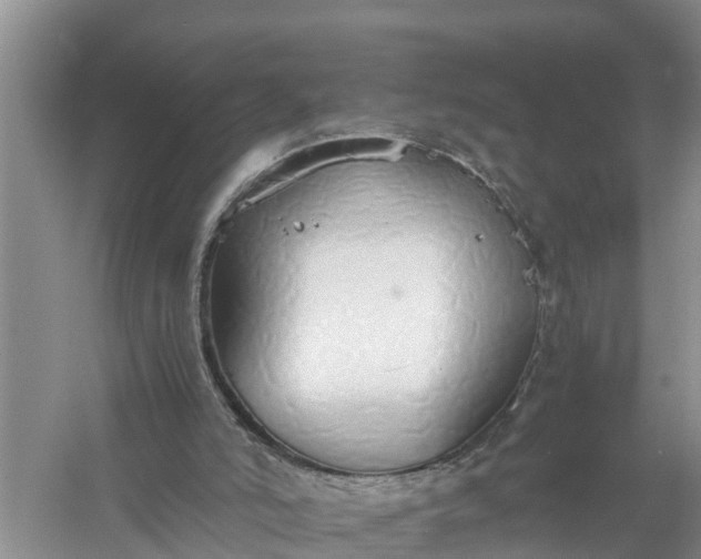 X0000058130006200510072017