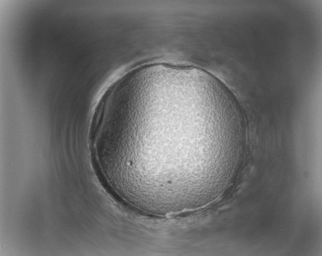 X0000058130007200510072017