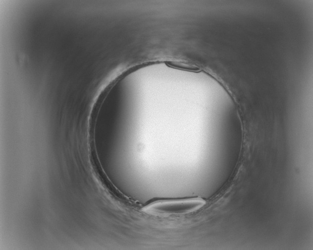 X0000058130008200510072017