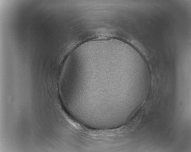 X0000058130009200510072017