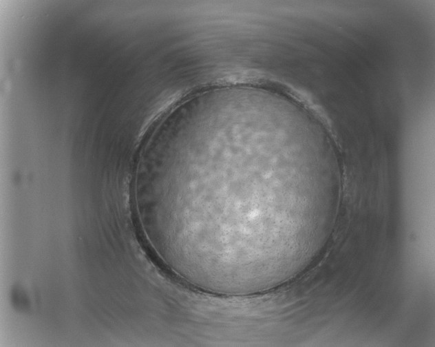 X0000058130010200510072017