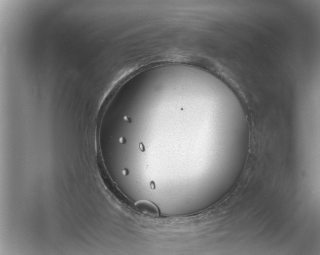 X0000058130011200510072017