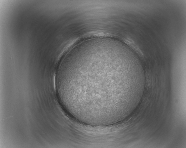 X0000058130014200510072017