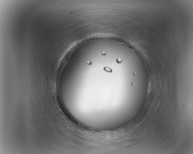 X0000058130015200510072017