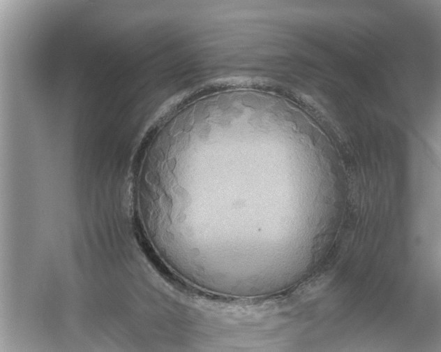 X0000058130016200510072017