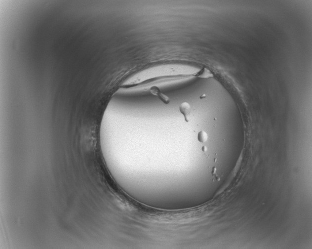 X0000058130017200510072017