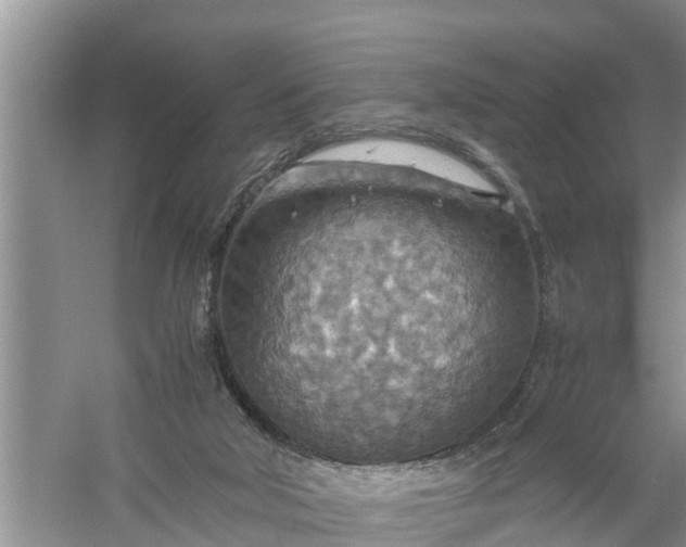 X0000058130018200510072017