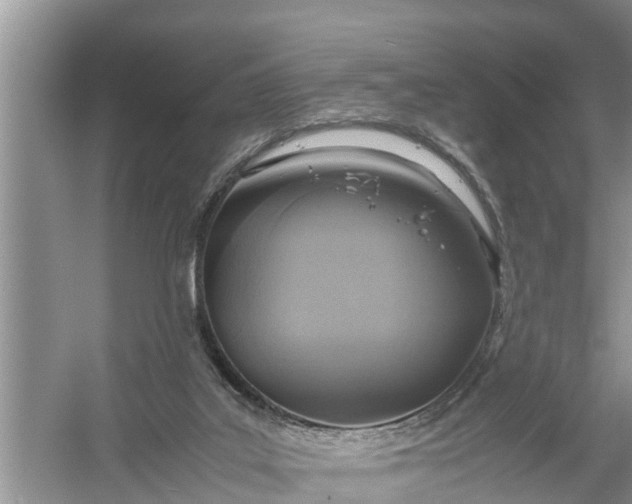 X0000058130019200510072017