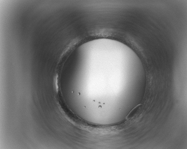 X0000058130020200510072017