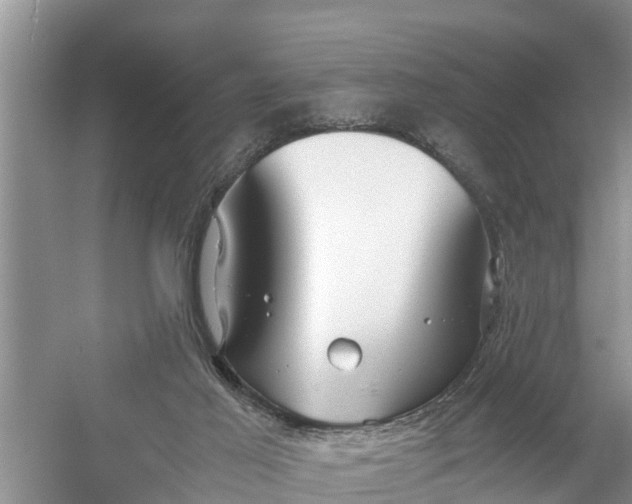 X0000058130021200510072017