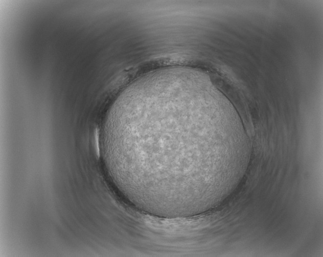 X0000058130022200510072017