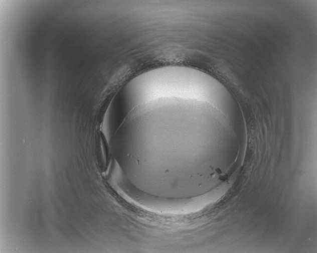 X0000058130023200510072017