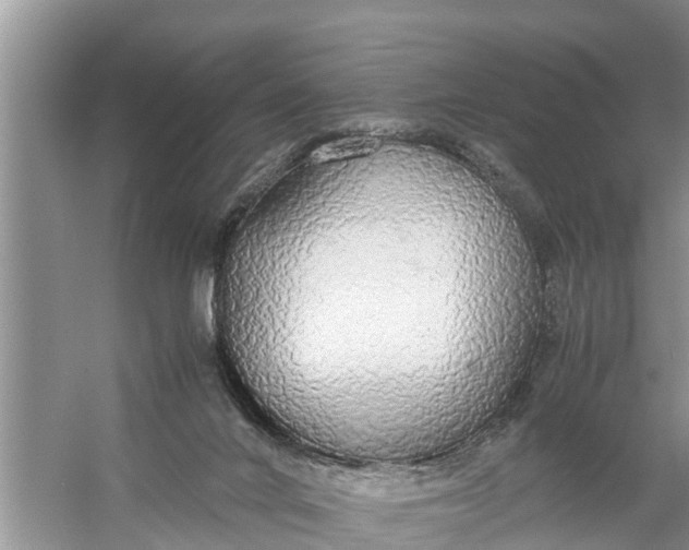 X0000058130024200510072017