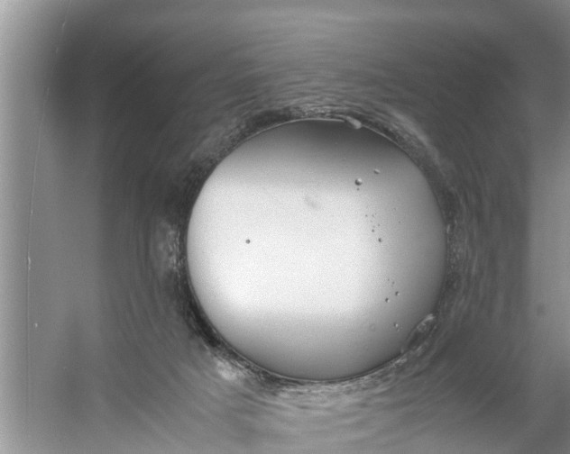 X0000058130025200510072017