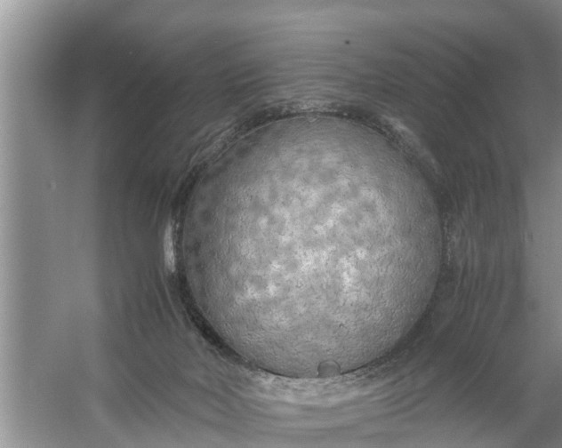 X0000058130026200510072017