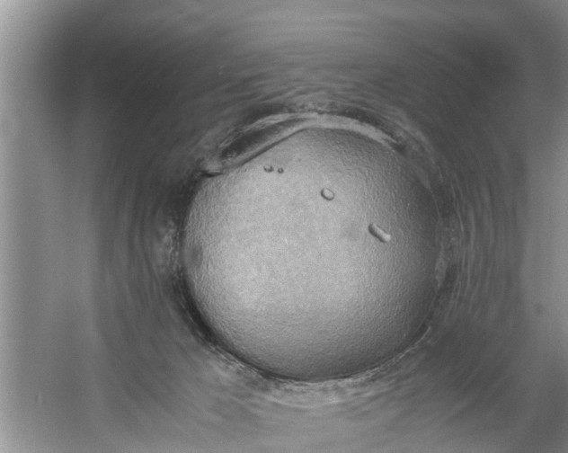 X0000058130029200510072017