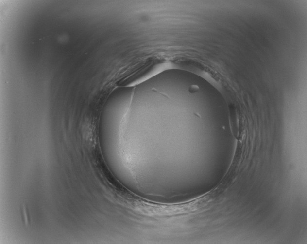 X0000058130031200510072017