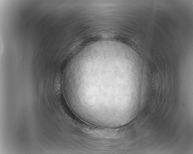 X0000058130032200510072017