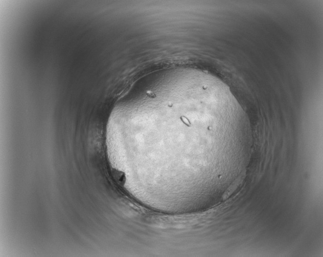 X0000058130033200510072017